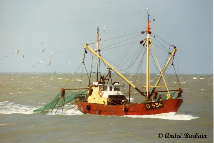 O.536 Zeevalk (bouwjaar 1963)