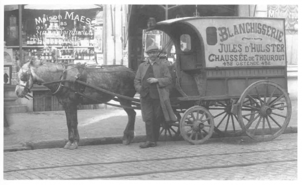 Van Caillie (1987, pl. 93)