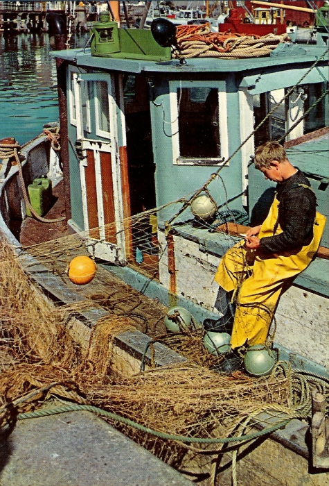 Visser met olie overall en net op dek