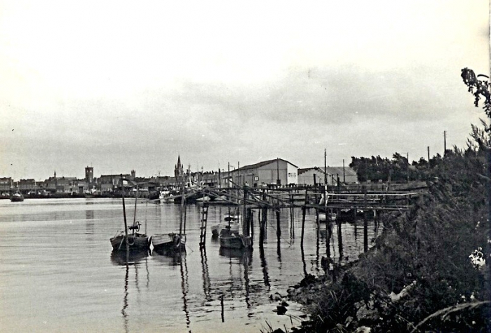 Palingschuiten in haven Nieuwpoort