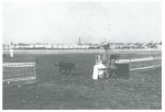 Van Caillie, A. (1989). Oud Oostende in beeld 4. Published by the author(s): Oostende. [200 photographs] pp.