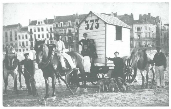 Van Caillie (1989, pl. 85)