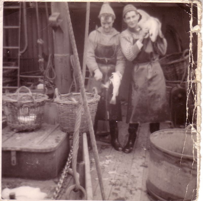 Strippen (vissersjargon: verwijderen van de ingewanden) van vis aan boord