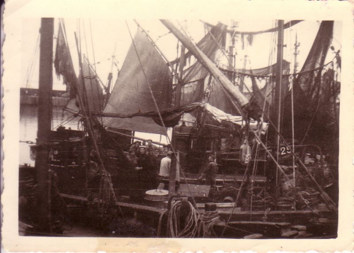 Garnaalvissersvaartuigen in haven Zeebrugge. 