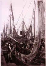 Vissersvaartuigen in schuilhaven Zeebrugge