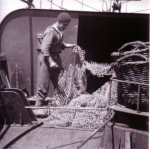 Werken aan boord & wal