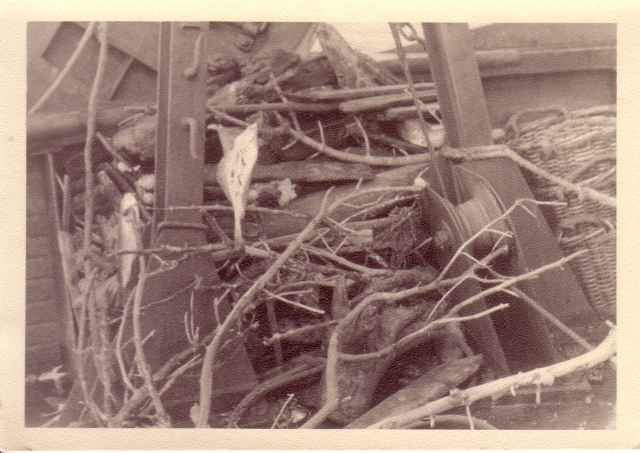 Stokken en takken na één dag vissen in geultje nabij Denemarken