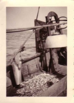 Povere vangst in de kreefteput