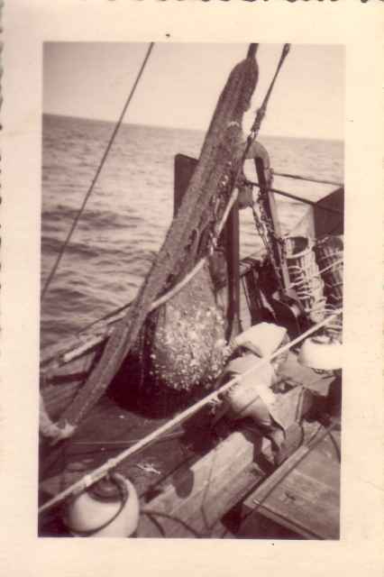 Vangst van kreefteput binnenhalen