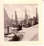 Haven Oostende, vistrap