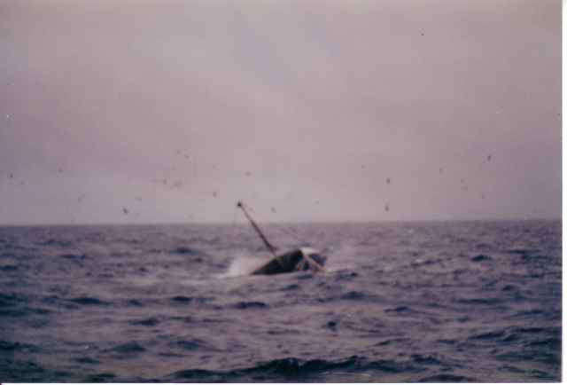 De gezonken BM.37 uit Brixham