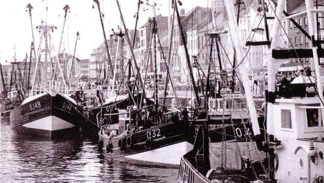 Garnaalvissers in Montgomerydok Oostende