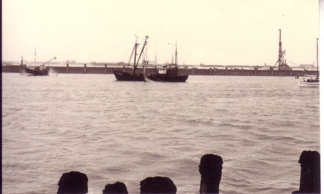 Z.536 Zeevalk (bouwjaar 1963)