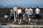 21st July 2012 - Field work at Praia da Aguda, author: Joana Rodrigues