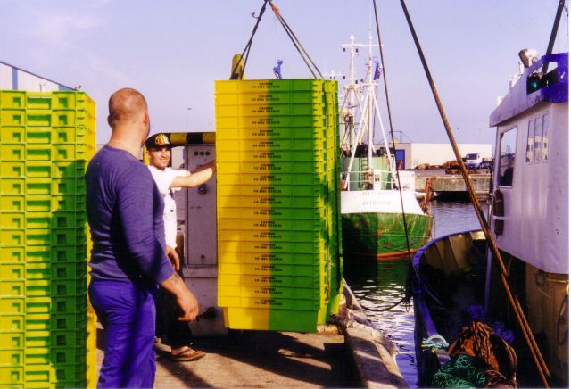 Laden lege viskisten te Zeebrugge