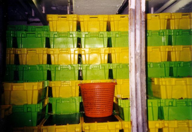 Vis wordt met ijs gekoeld en weggestouwd