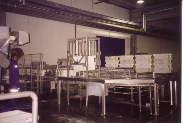 Vissorteerinstallatie te Zeebrugge