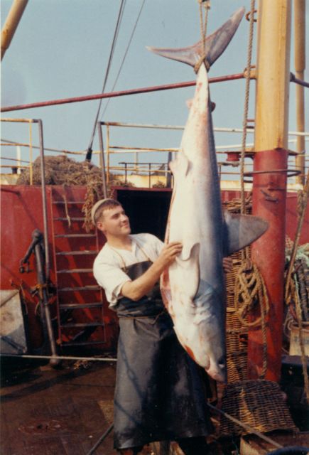 Jan De Voogt met latour (een soort haai)