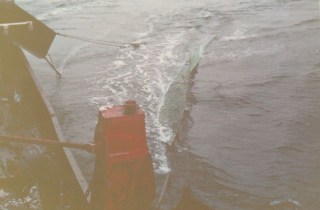 Wegzetten van viskor en visplanken op de Z.405 Kamina (Bouwjaar 1955)