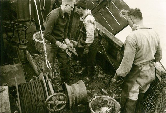 Vissers aan boord