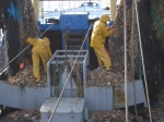 Zeesterren uit net halen