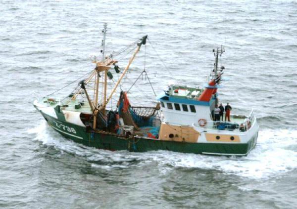 Z.738 Kariena Marjanne (bouwjaar 2002)