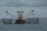 Onbekend schip met netten