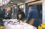 Auction and processing