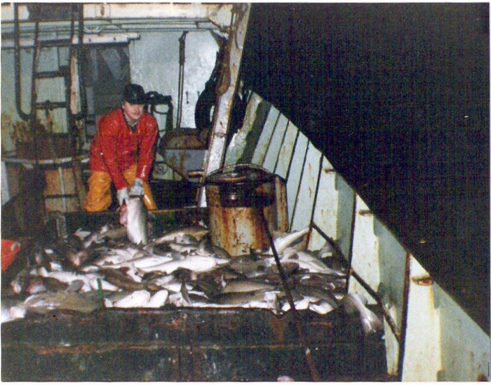 Visser met vangst in visruim