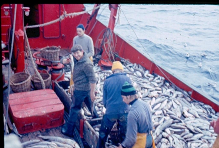 Vissers aan dek met vangst kabeljauwachtigen