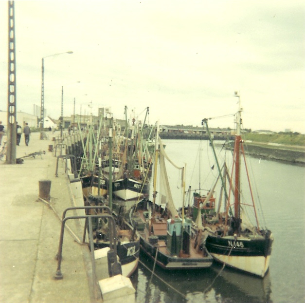 Verschillende schepen in de haven