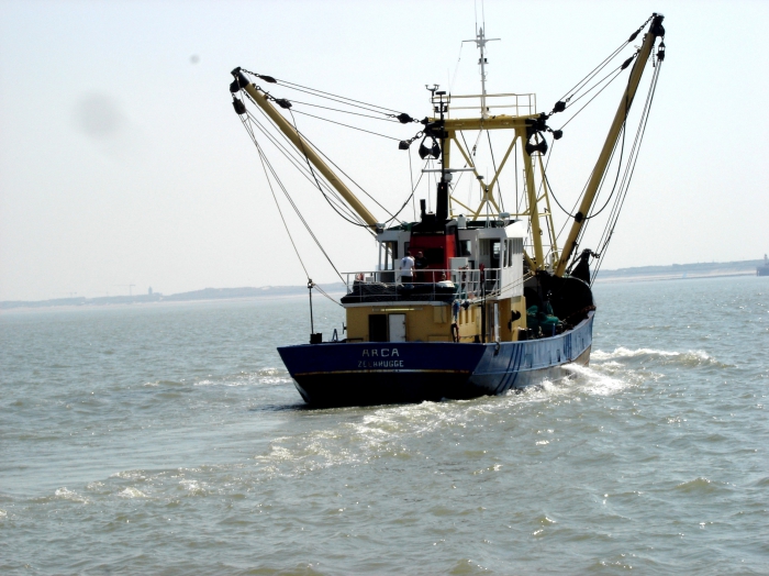 Z.36 Arca (Bouwjaar 1981)