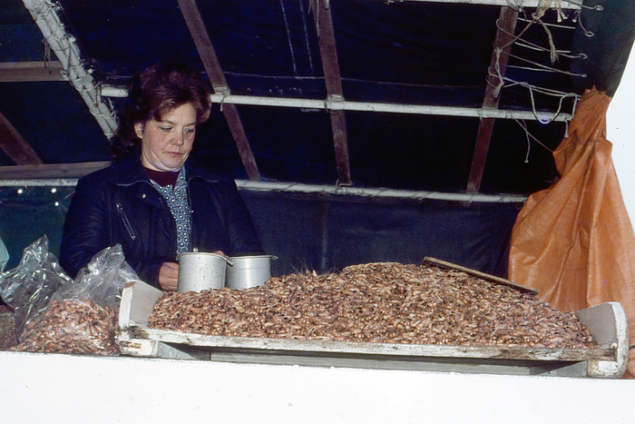 Garnalenkraam O.32 Vistrap Oostende