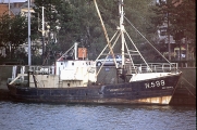 N.599 ZEEVOGEL, author: Provost, Gino