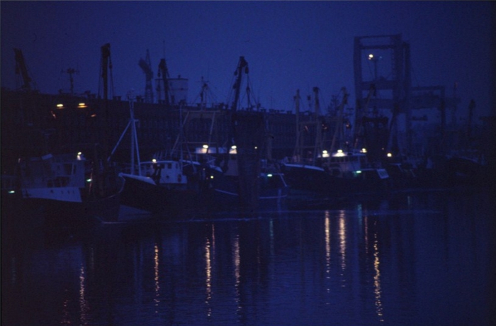 Lossen van de vangst