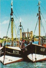 N.818 JULIENNE & N.732 O.L.V. VAN VLAANDEREN