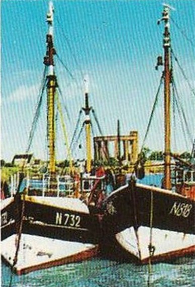 N.818 JULIENNE & N.732 O.L.V. VAN VLAANDEREN