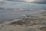 Foam algae on the beach (Belgian Coast)