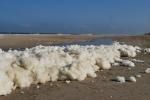 Foam!