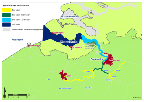 Salinity of the Scheldt