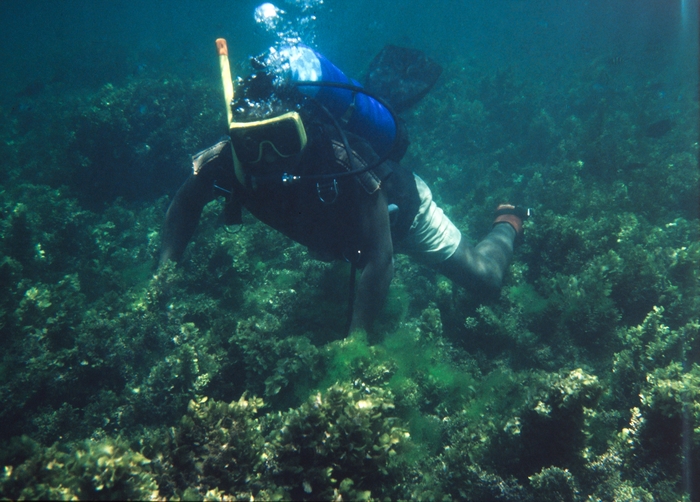 George Wamukoya diving session