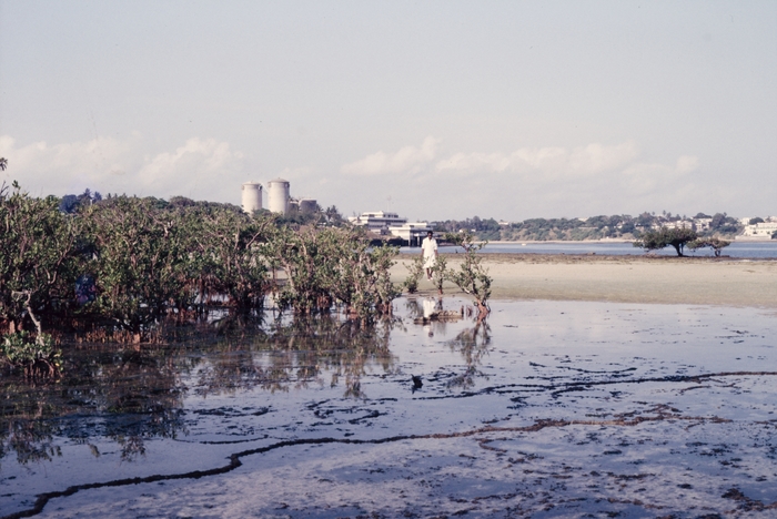 Helida Oyieke with KMFRI building and cement factory on background