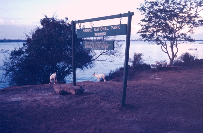 Marine National Park, Shimoni, Kenya