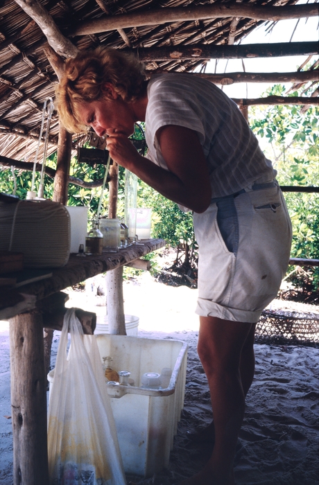 Nanette daro working in the field lab
