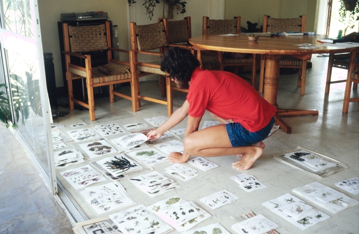 Prof. Tom Beeckman sorting dried algae in Belgian House