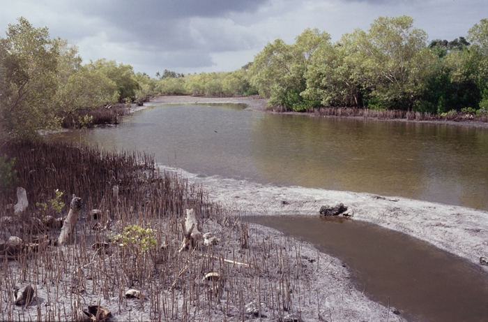 Tidal channel Gazi at Bay