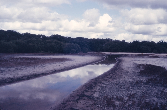 Tide channel at Gazi Bay at low tide