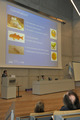 Conferences