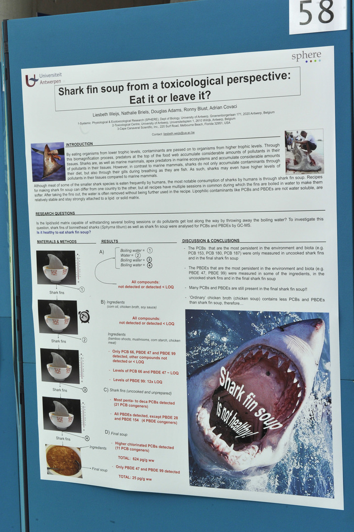 3de plaats publieksprijs 