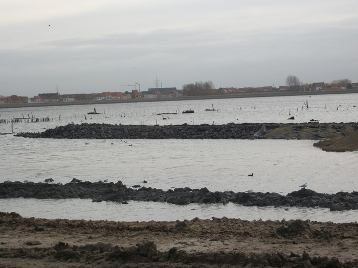 Werken natuurvriendelijke oevers